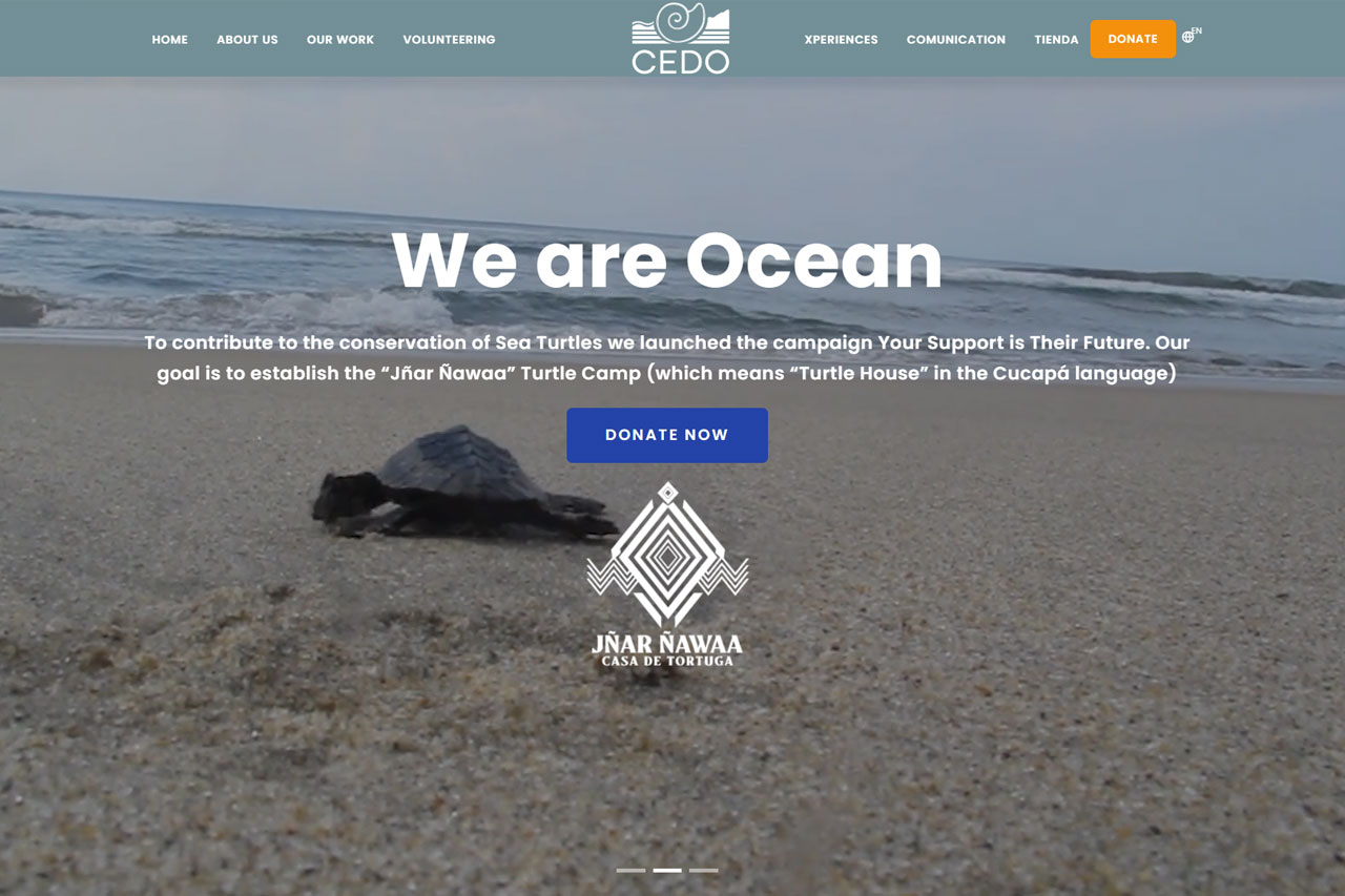 CEDO Home Page